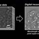 Illustration for article titled A New Sensor Turns Old Microscopes Into Super-Resolution Devices